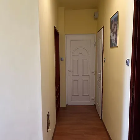 Szekcsoi Kucko *