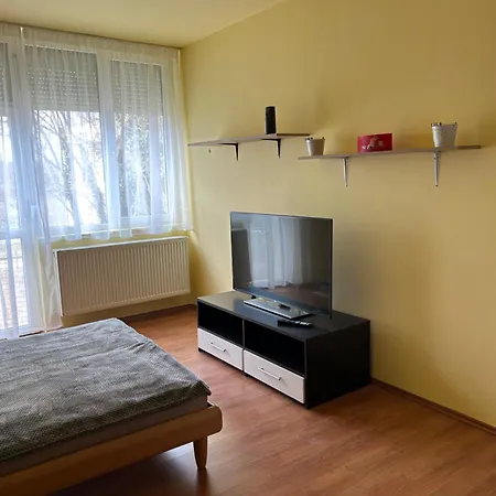 Szekcsoi Kucko Apartment